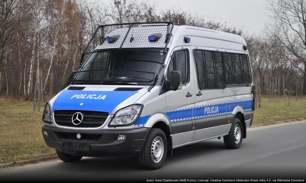 Ostrzeżenie przed oszustami w internecie: mieszanka klasyki i nowoczesności