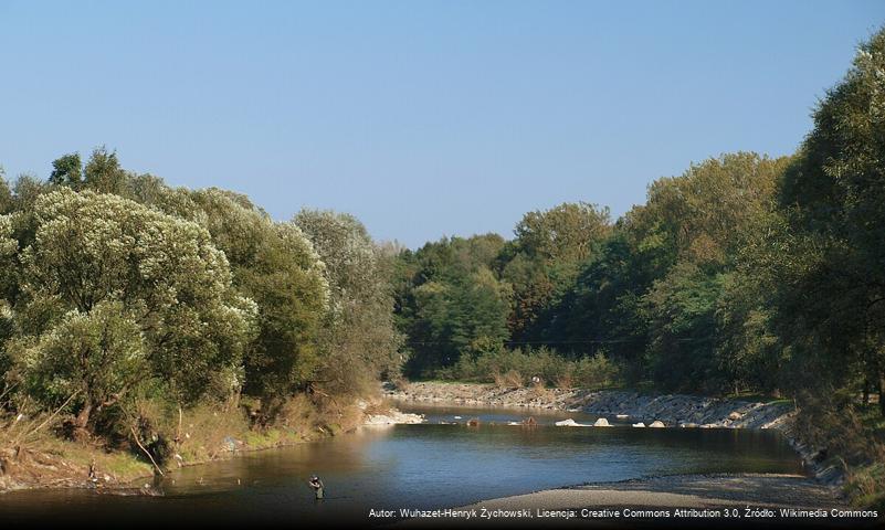 Zarabie (Myślenice)